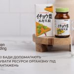 Чому вам потрібні саме японські БАДи від хронічної втоми?